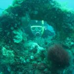 CONOCE EL ÚNICO CEMENTERIO SUBMARINO DEL MUNDO »