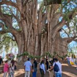 5 edificios tan extraños que valen un desvío en tu itinerario solo por verlos »